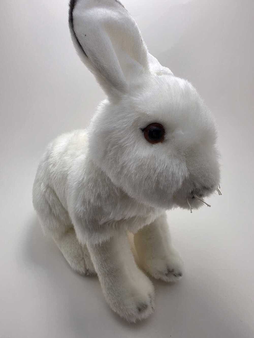 Hands on Ganz White Hare Plush Sitting Bunny Rabbit (11 inch)